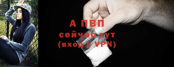 шишки Лагань