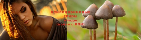 2c-b Лабытнанги