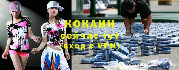 шишки Семикаракорск