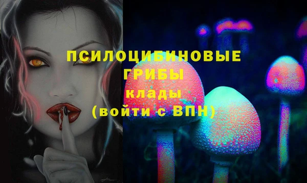 2c-b Лабытнанги