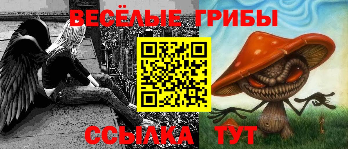 Галлюциногенные грибы GOLDEN TEACHER Малгобек