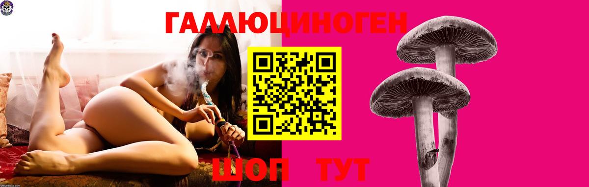 Псилоцибиновые грибы Cubensis  закладки  Вход с VPN  Малгобек  Галлюциногенные грибы GOLDEN TEACHER 